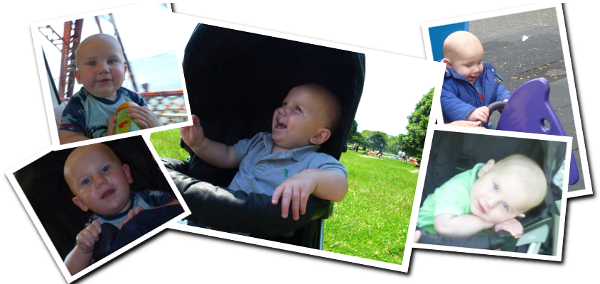 Kayden Collage